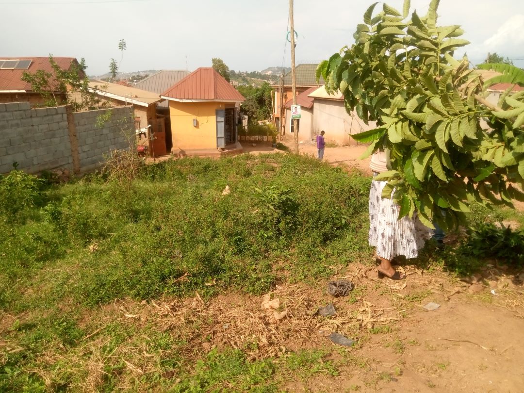 Massing and compound arrangement view